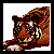tig.gif